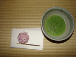 DSC04583.JPG
